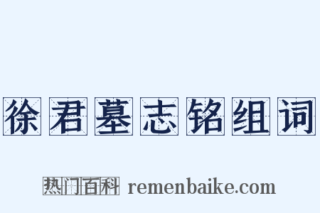 徐君墓志铭组词是什么意思的图片